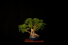 DSC01029