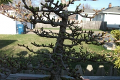 DSCF0975